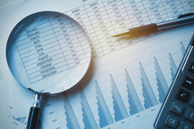 LIHTC Audit Process